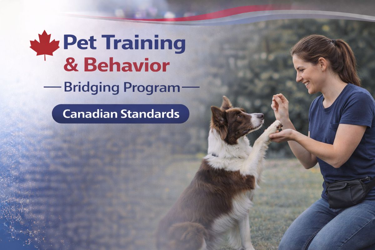 Pet Training & Behavior Bridging Program – course at Richmond Hill College