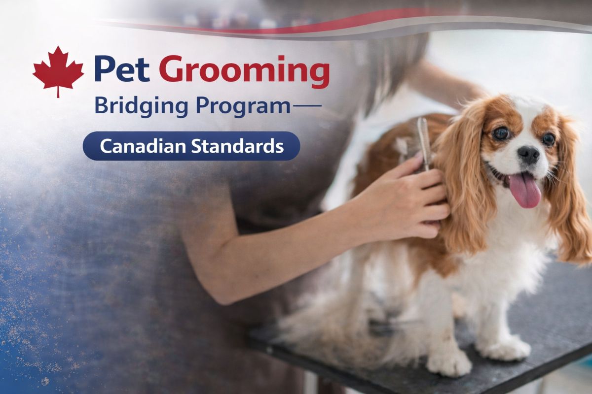 Pet Grooming Bridging Program – cours au Collège Richmond Hill