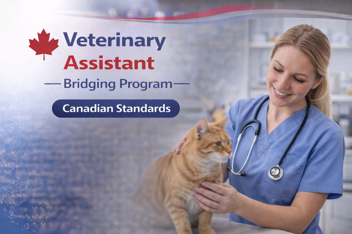 Veterinary Assistant Bridging Program – cours au Collège Richmond Hill